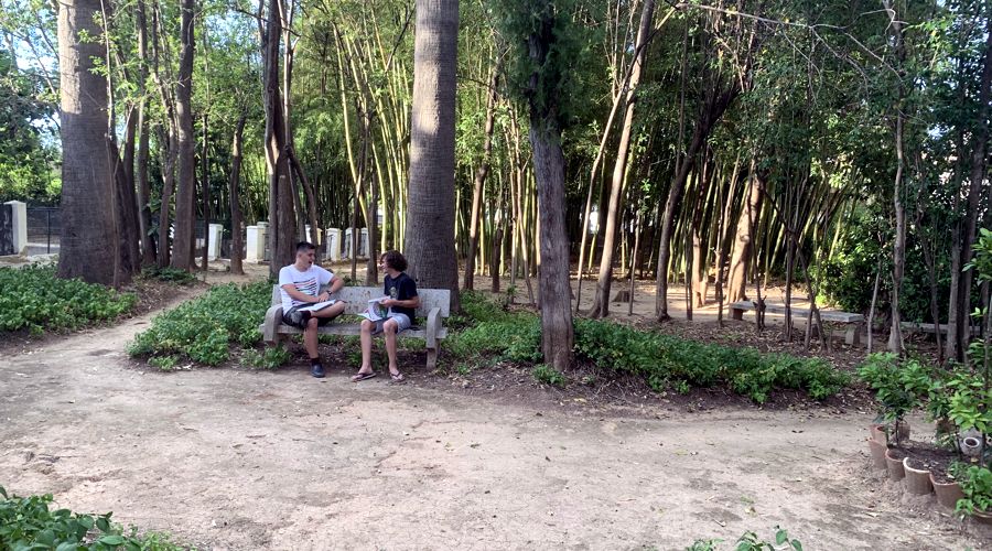 Jardín botánico