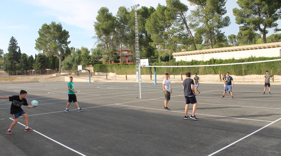 Voleibol